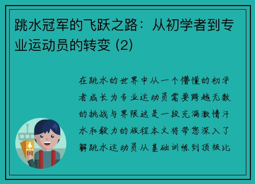 跳水冠军的飞跃之路：从初学者到专业运动员的转变 (2)